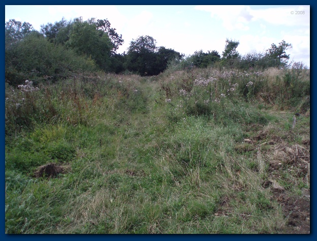 600x449 pixels (162K)